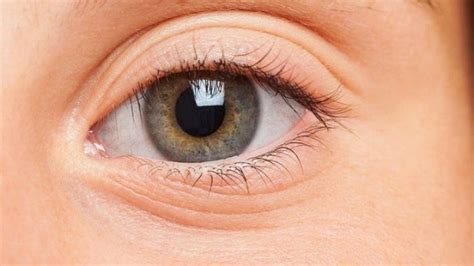 Banyaknya firasat orang melayu tentang mata memberi gambaran betapa pentingnya mata dalam mempengaruhi perlakuan dan tindakan manusia. Ketahui Inilah Tanda, Punca Dan Maksud Mata Bergerak-gerak ...