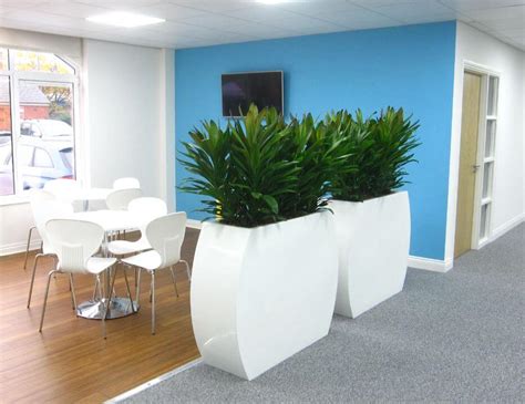 Awe Office Plants Interior Design Ideas Is Damn Beautiful