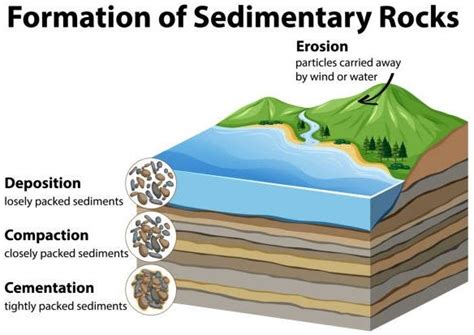Proses Pembentukan Batuan Sedimen Sipatilmuku