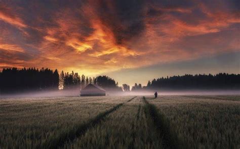 Nature Landscape Field Sunrise Trees Farm Sky Clouds Mist