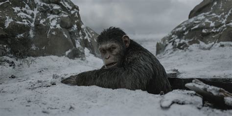 War for the planet of the apes is a 2017 sequel to the 2011 film rise of the planet of the apes and the 2014 film dawn of the planet of the apes that was announced on january 7. Planet of the Apes 3 Ends Caesar's Story | Screen Rant