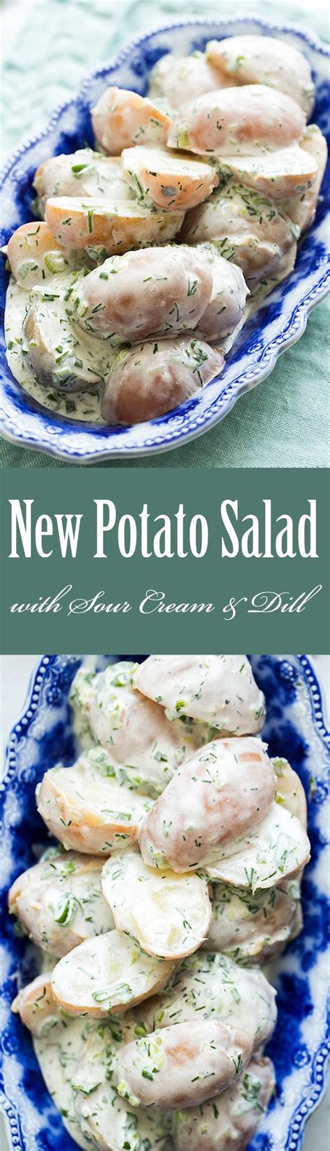 They're easy to cook and our version of creamy red potato salad is loaded with crunchy celery, bits of crispy bacon meanwhile, in a large bowl, whisk to combine the mayonnaise, sour cream, vinegar, mustard, salt. New Potato Salad with Sour Cream and Dill | Recipe ...
