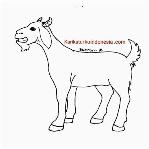 Mewarnai Gambar Binatang Qurban Arsip Surat Terlengka - vrogue.co