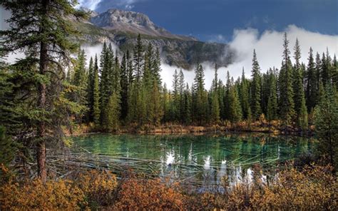 Wallpaper Banff National Park Lake Mountains Spruce Canada