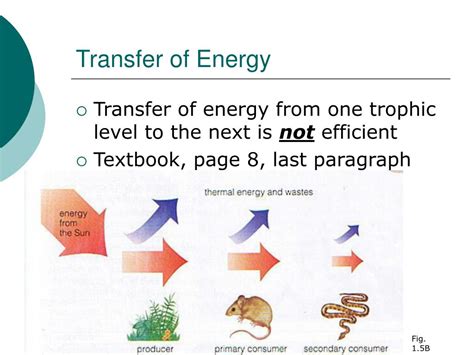 Ppt Transfer Of Energy Powerpoint Presentation Free Download Id