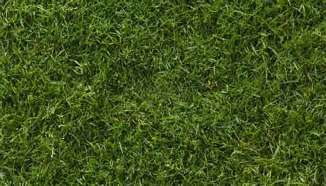 Happy Earth Day Grass Textures Artificial Grass Grass Background