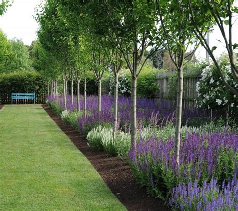 36 Wonderful Ideas To Make Fence With Evergreen Plants Landscaping