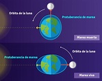 Aplicaciones de la matemática: La marea