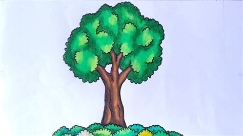 Cara Menggambar Pohon Yang Mudah Menggambar Pohon Easy Drawings