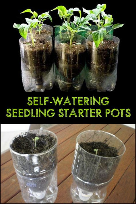 Diy Self Watering Seed Starter Pots The Owner Builder Network Gardening For Dummies