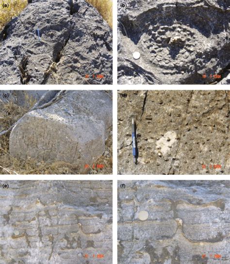 Stromatolites And Tubular Structures Exposed At The Auros Farm A