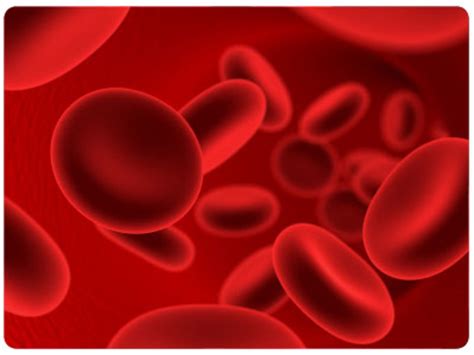 Blood Clotting Biology As Level Hubpages