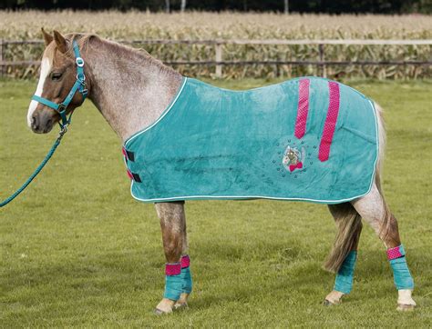 Horse Tack, Equestrian, Pony, Horses, London, Dream, Animals, Quick