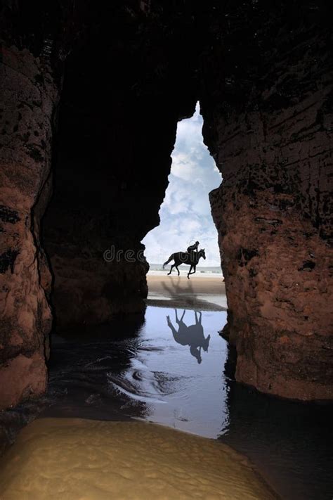 Horse Galloping Past Cave Stock Photo Image Of Beach 15897582