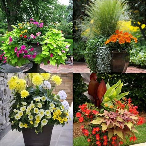16 Colorful Shade Garden Pots And Plant Lists In 2020 Diy Garden