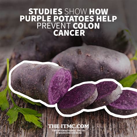 Studies Show How Purple Potatoes Help Prevent Colon Cancer Itmc