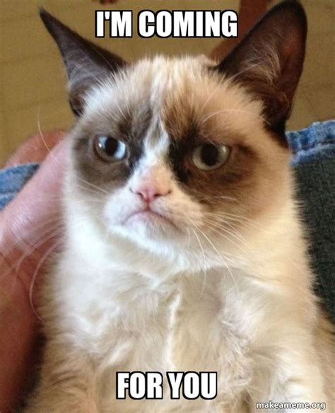 Im Coming For You Grumpy Cat Make A Meme