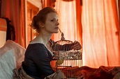 La señorita Julia | Película | Crítica Cine | Strindberg al cine