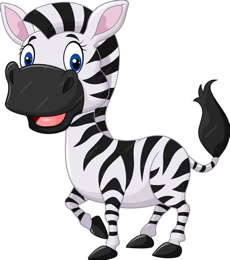 Premium Vector Cute Baby Zebra Posing Isolated On White Background