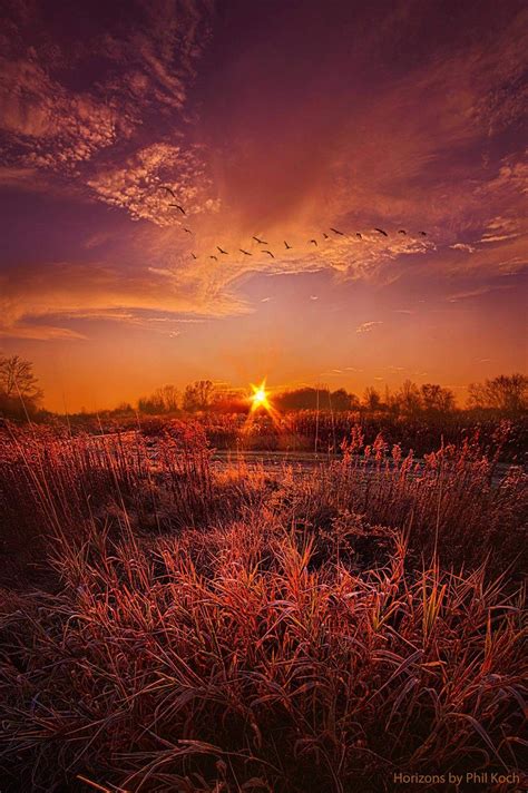 To See And Feel Forever Horizons By Phil Koch Fallcolors Orange