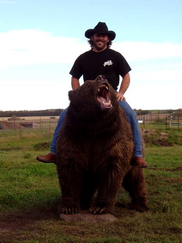 12 tips to ride a guy. Training Bears - North American Bear CenterNorth American ...