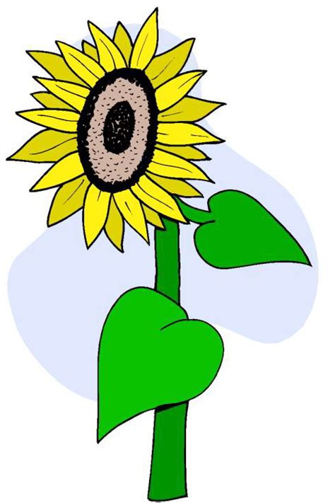 Sunflower Clip Art Clipart Panda Free Clipart Images