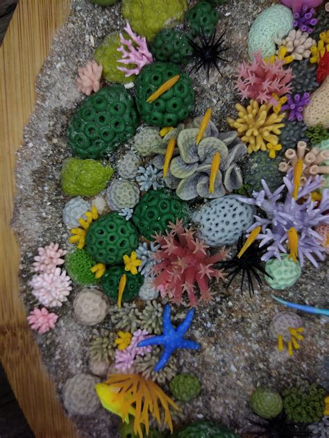 Miniature Coral Reef Polymer Clay Sculpture Sea Life Art Etsy