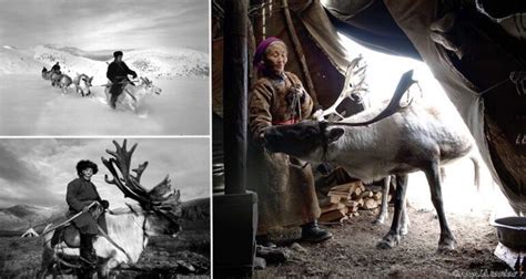 photographer hamid sardar afkhami provides insight into the world of the reindeer people of mongolia