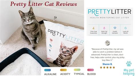 Pretty Litter Cat Reviews Pros And Cons Is It Good