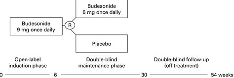 Long Term Budesonide Treatment Of Collagenous Colitis A Randomised