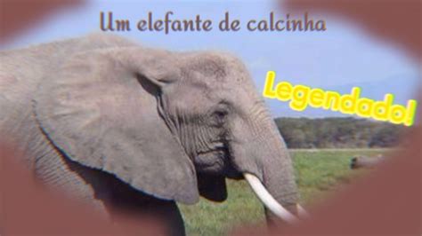 Um Elefante De Calcinha Legendado Youtube