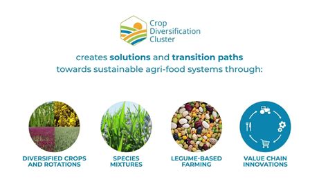 Crop Diversification Cluster Solutions For Sustainable Agri Food