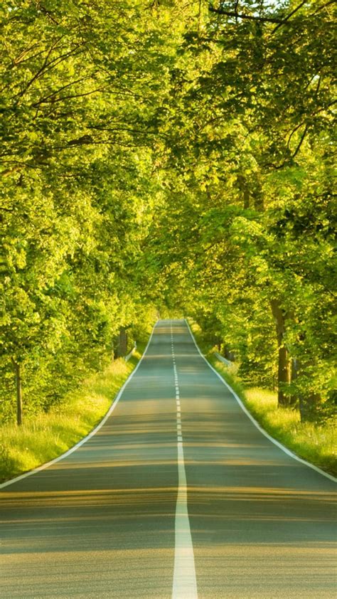 Nature Road Wallpaper Hd For Mobile Oppo Edge Green Nature Mountain