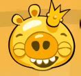 In angry birds medieval times, she is the leader of the village. King Pig - Angry Birds Fanon Wiki