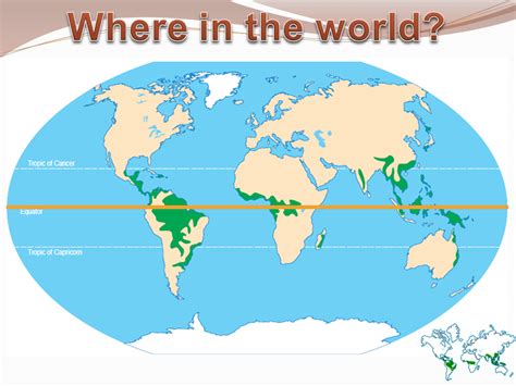 World Map Location Of Tropical Rainforest File World Map