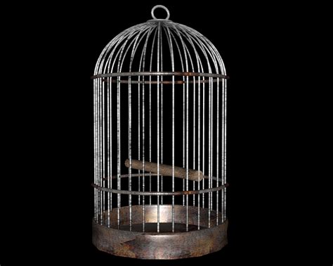 The Meaning And Symbolism Of The Word Cage
