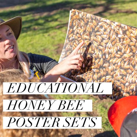Educational Honey Bee Posters Beekeeping Like A Girl