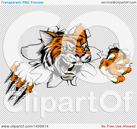 Clipart Of A Vicious Tiger Mascot Slashing Through A Wall Royalty