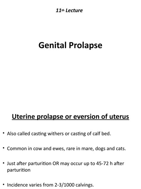 11th U Prolapse Pdf Uterus Vagina