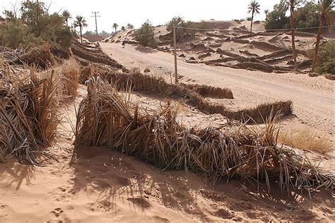 What Is Desertification Worldatlas