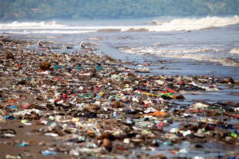 Solutions For Ocean Pollution Lovetoknow