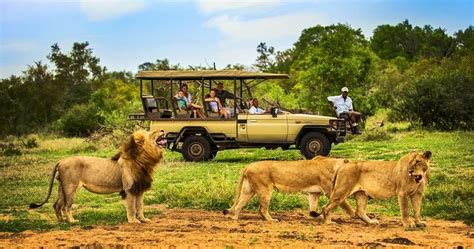 8 days tanzania safari tanzania safaris tour ngorongoro crater
