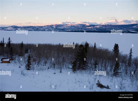 Winter Dawn At Lake Laberge Yukon Territory Stock Photo Alamy