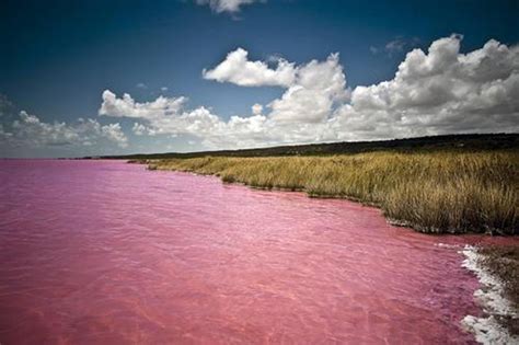 Lago De Color Rosa En Australia Abrelaboca