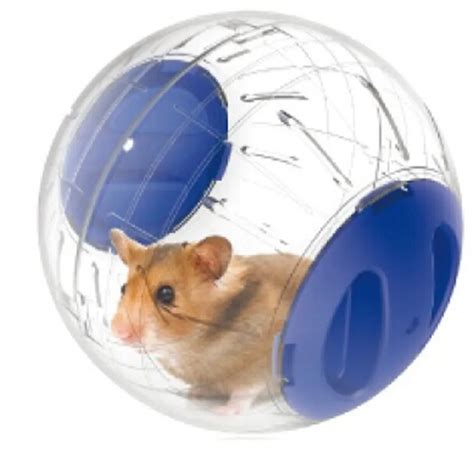Hamster Gerbil Toys Running Ball Activity Exercise Small Pet Habitat