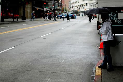 Best Jaywalking Stock Photos Pictures And Royalty Free Images Istock