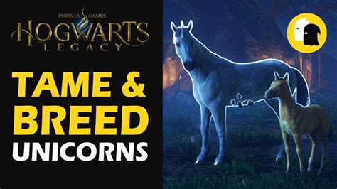 How To Get And Breed Unicorns In Hogwarts Legacy Youtube
