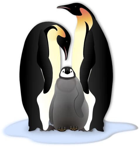Free Penguin Clip Art Download Free Penguin Clip Art Png Images Free Cliparts On Clipart Library