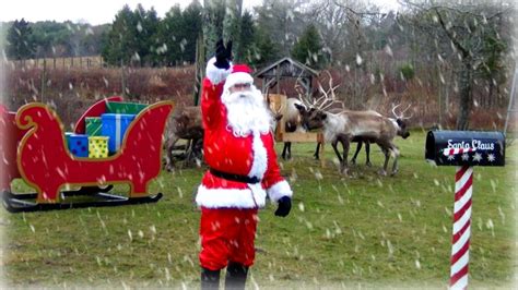 Watch Santa Feed His Reindeer Daily As They Get Ready For The Big Day