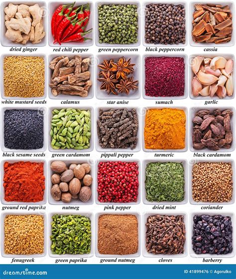 Collection Of Different Spices And Herbs Stock Photo Image Of Brown